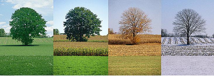 国产独立悬疑恐怖游戏《水鬼》9月6日中元节正式上架Steam！